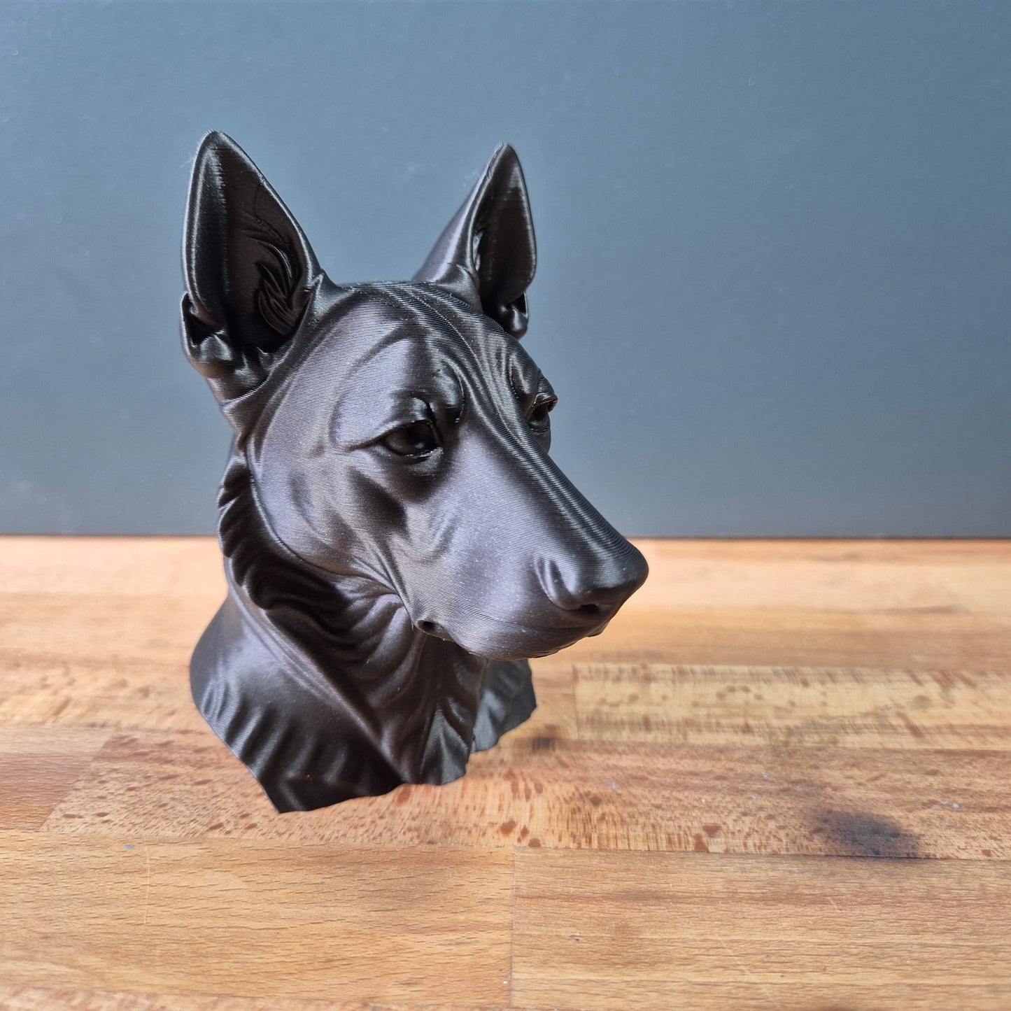Dutch Shepherd Bust