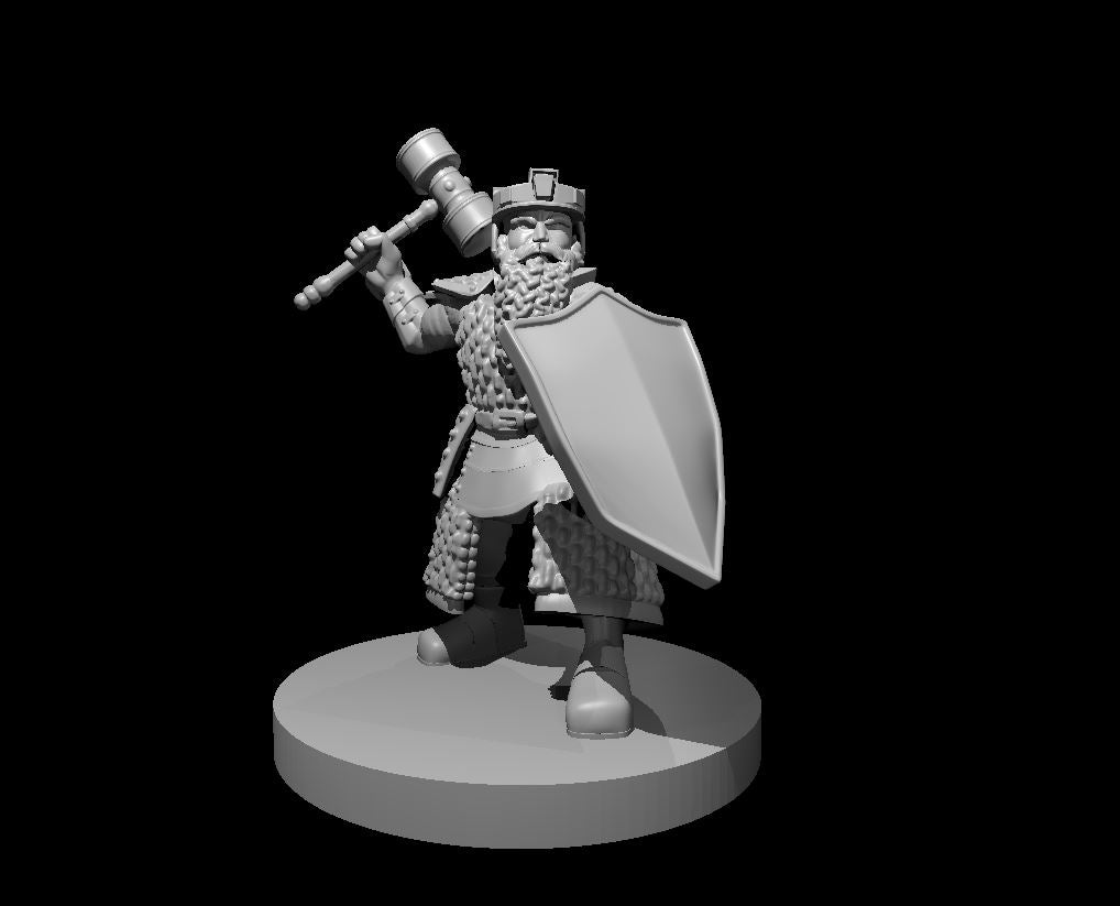 Dungeons & Dragons Dwarf Fighter Miniature