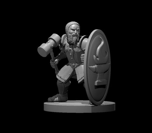 Dungeons & Dragons Dwarf Fighter Tower Shield and Hammer Miniature