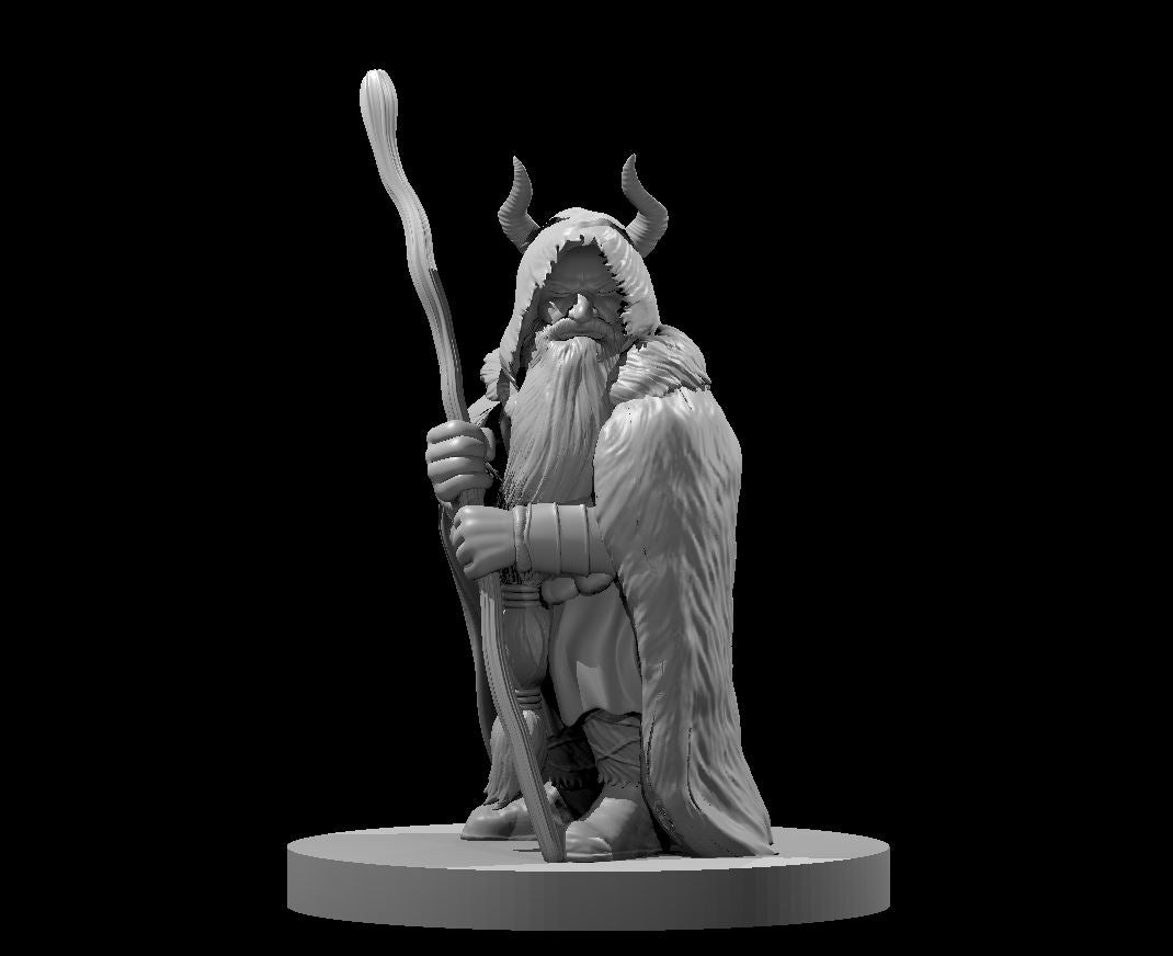 Dungeons & Dragons Dwarf Male Druid Miniature