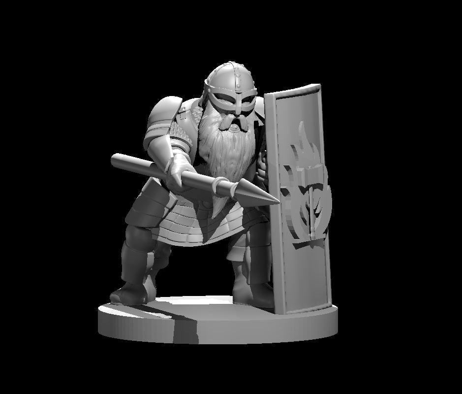 Dungeons & Dragons Dwarf Male Fighter Miniature