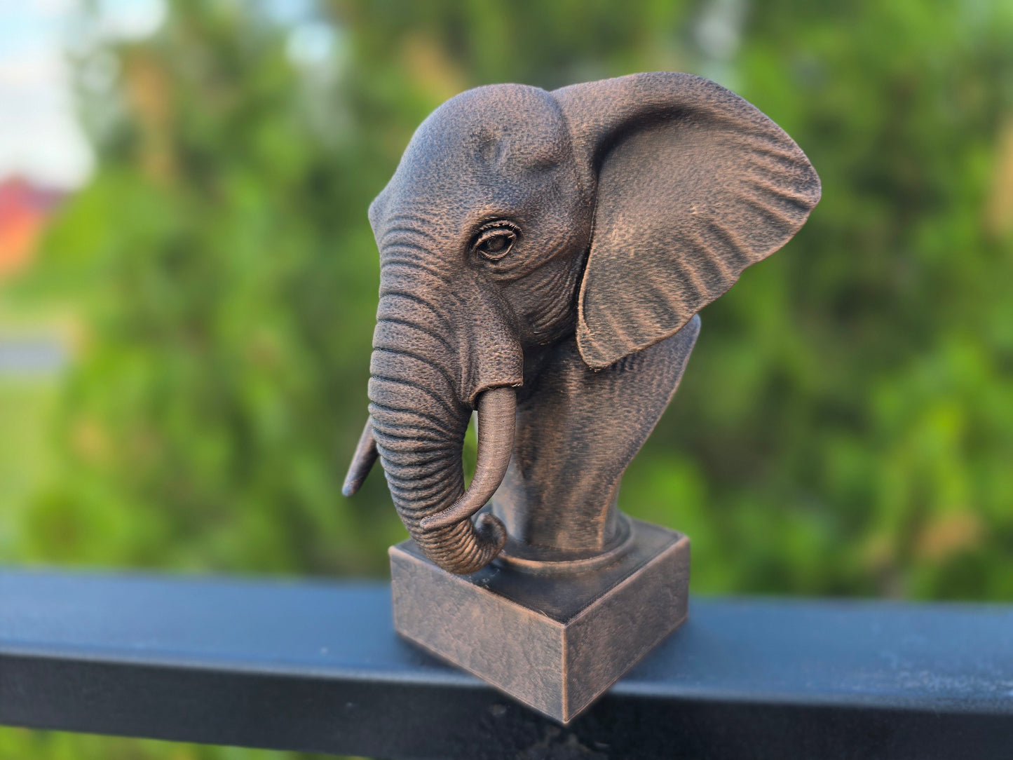 Elephant Bust