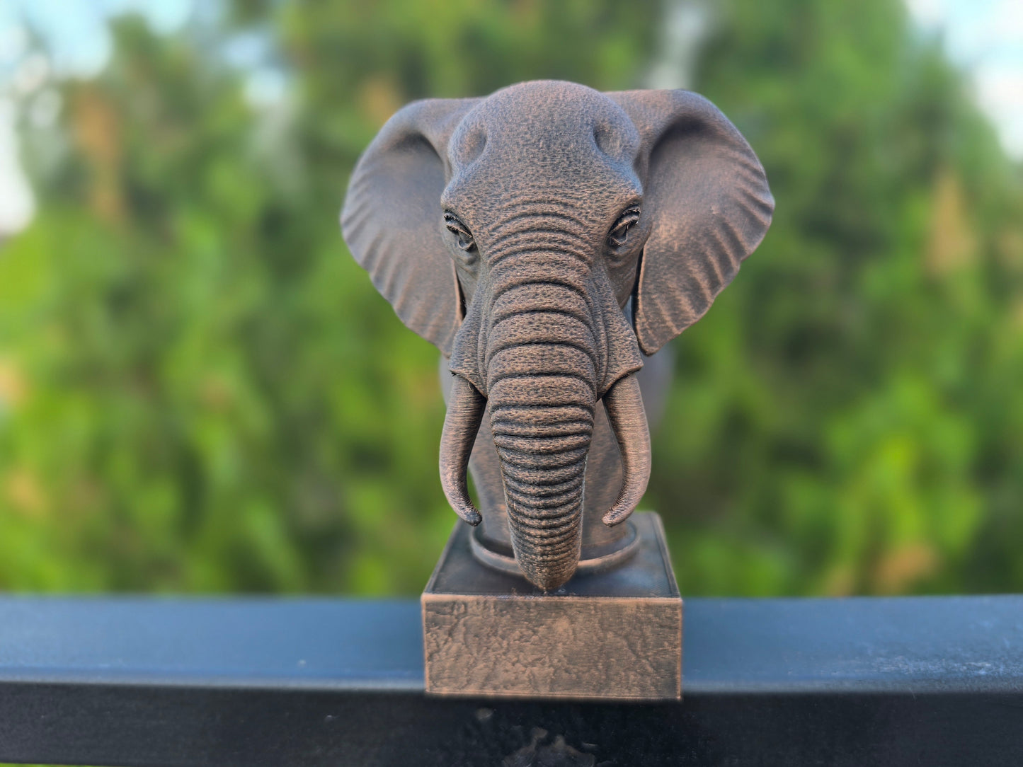 Elephant Bust