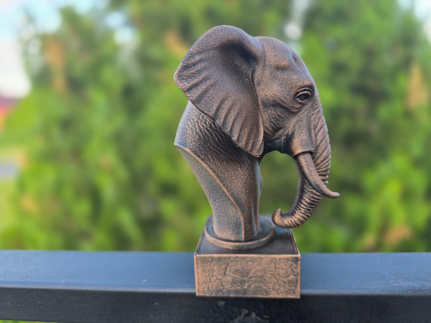 Elephant Bust
