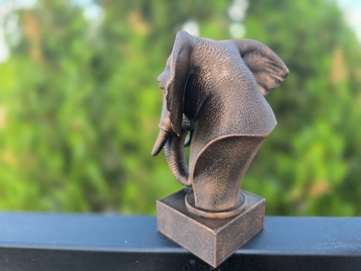 Elephant Bust