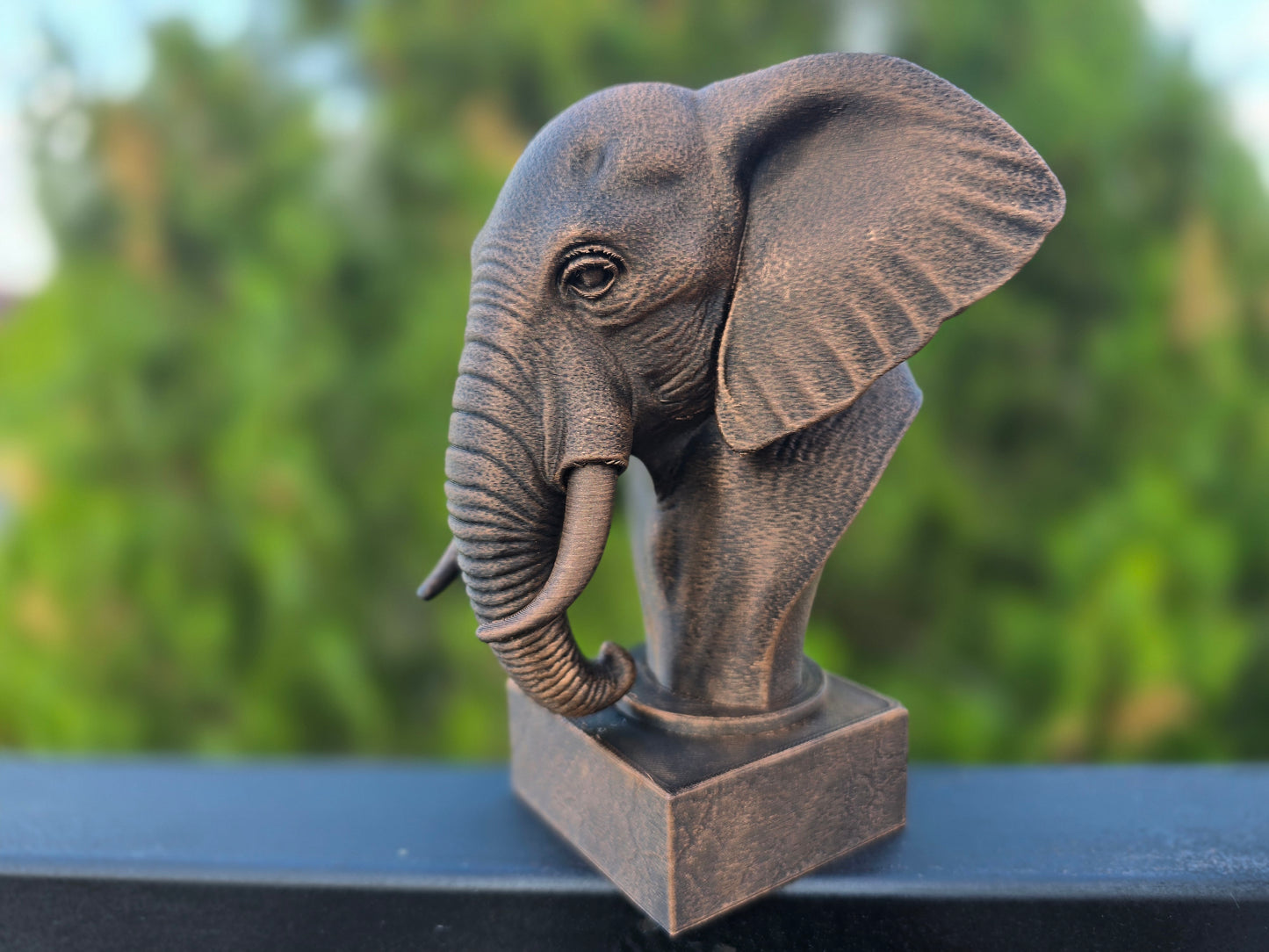 Elephant Bust