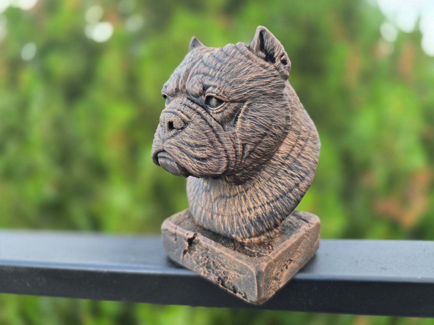 Exotic Bully Bust