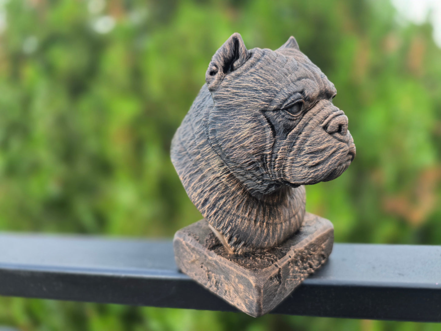 Exotic Bully Bust