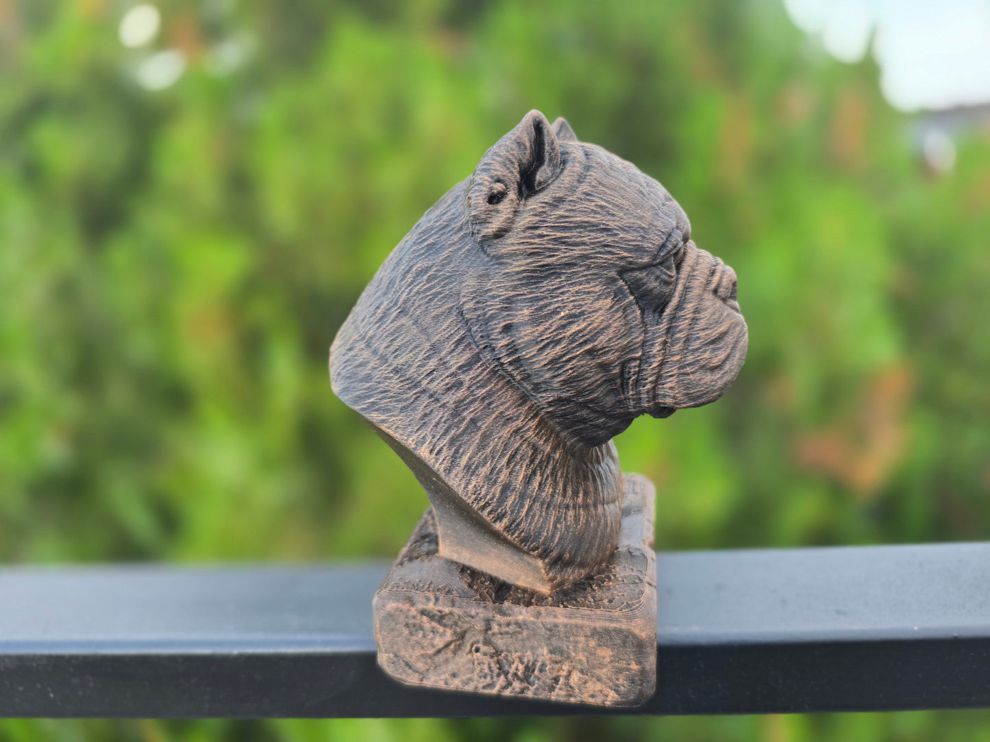 Exotic Bully Bust