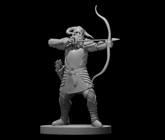 Dungeons & Dragons Einherjar archer Miniature