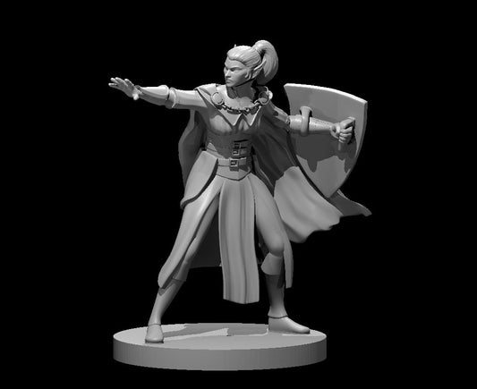 Dungeons & Dragons Elf Female Warlock with Shield Miniature