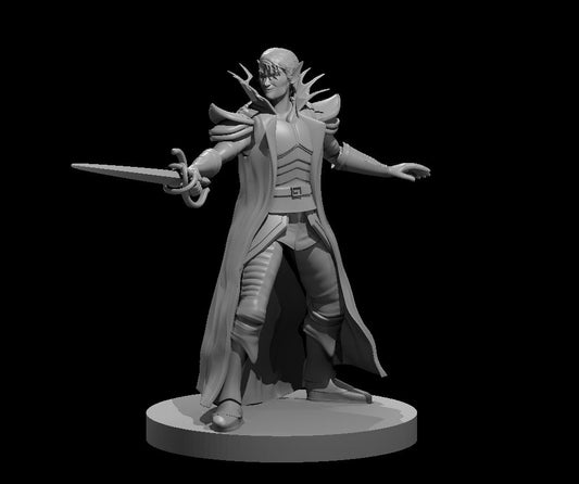 Dungeons & Dragons Elf Male Hexblade Warlock Miniature