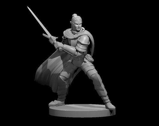 Dungeons & Dragons Elf Male Paladin Miniature