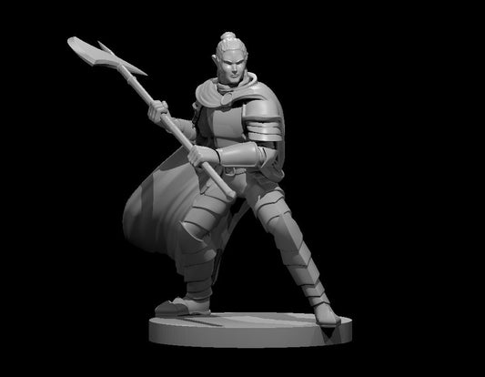 Dungeons & Dragons Elf Male Paladin with Halberd Miniature