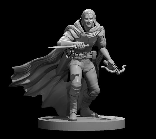 Dungeons & Dragons Elf Male Rogue Miniature