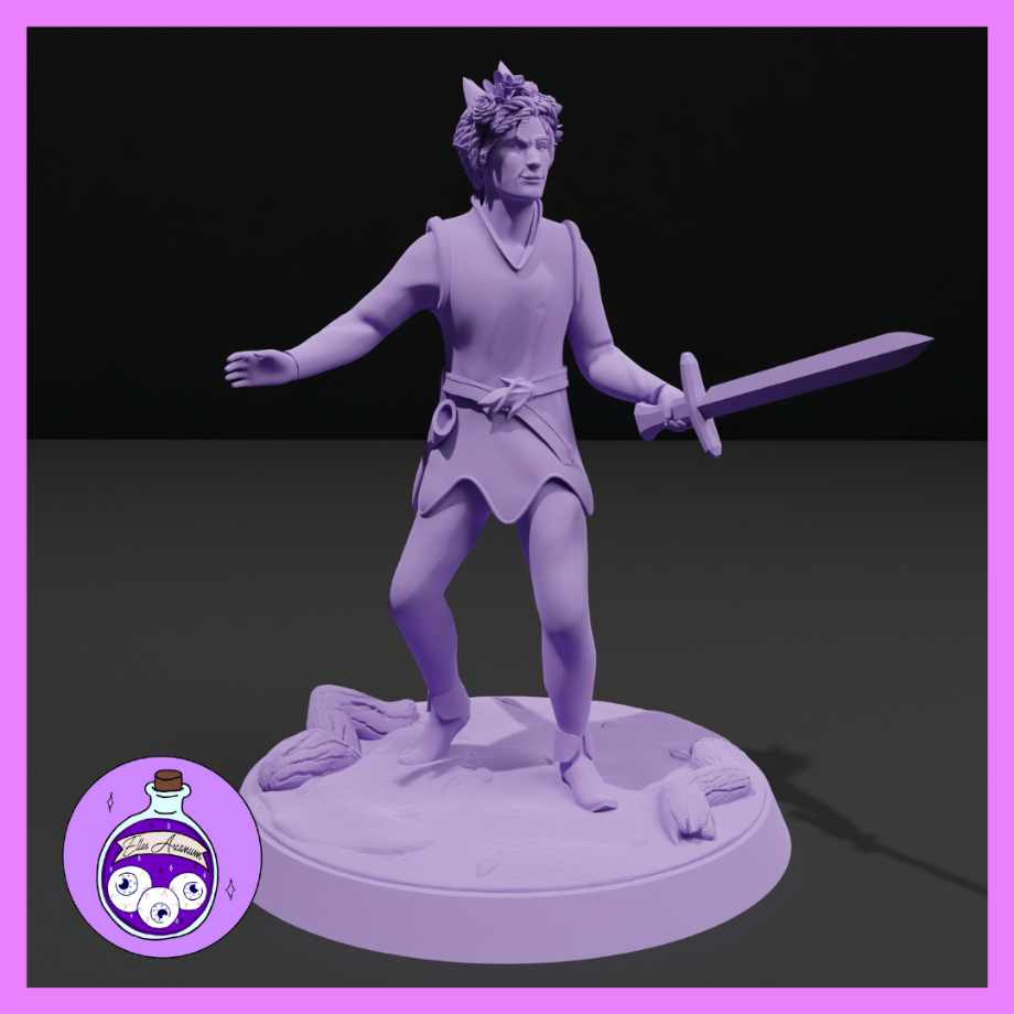 Dungeons & Dragons Elf Prince Miniature