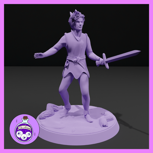 Dungeons & Dragons Elf Prince Miniature