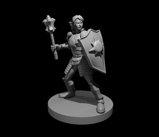 Dungeons & Dragons Elven Female Light Cleric Miniature