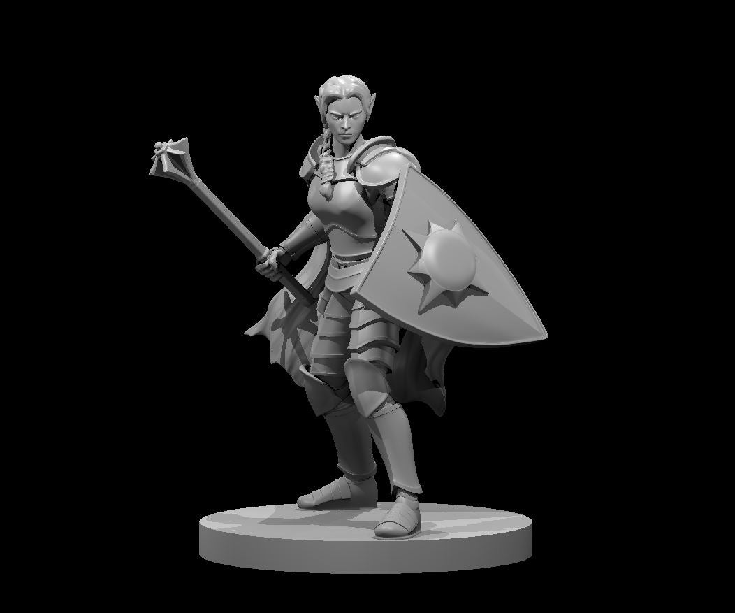 Dungeons & Dragons Elven Female Light Cleric Miniature