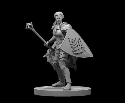 Dungeons & Dragons Elven Female Nature Cleric Miniature