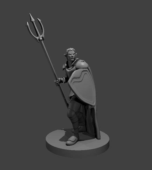 Dungeons & Dragons Elven Male Cleric of Tempest Miniature