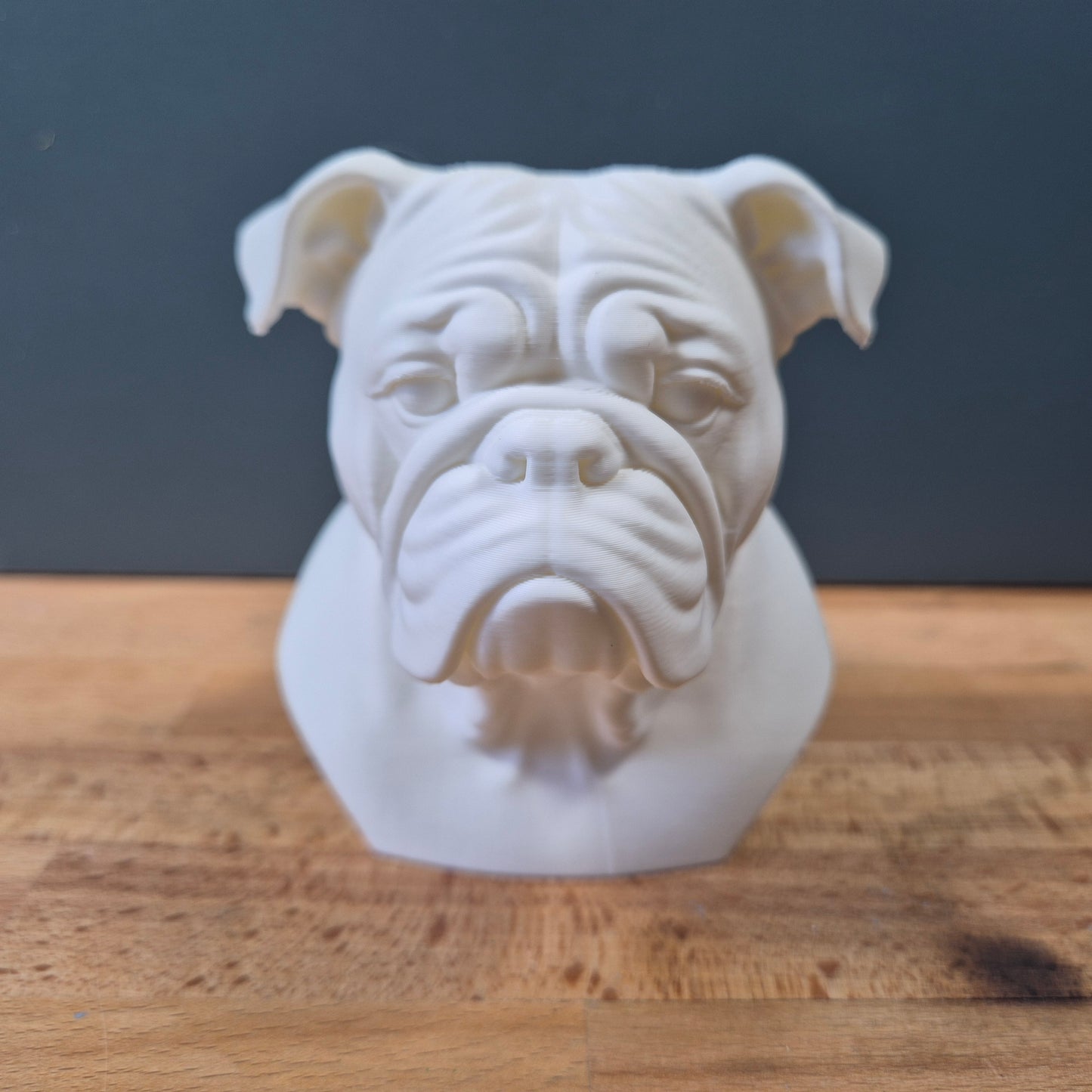 English Bulldog Bust