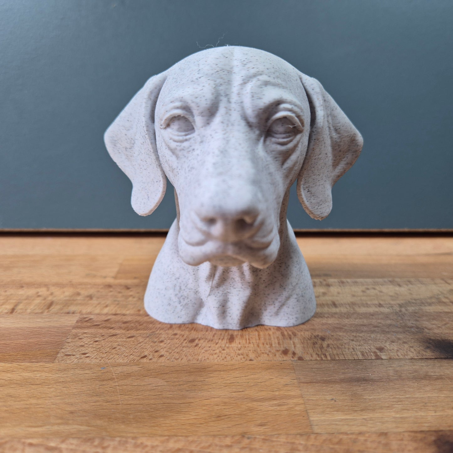 English Pointer Bust