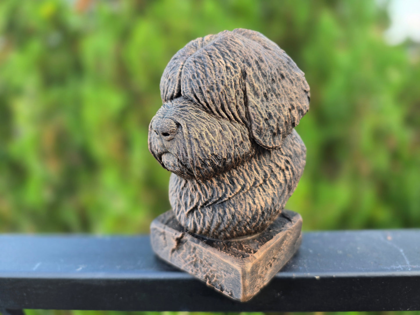 English Shepherd Bust