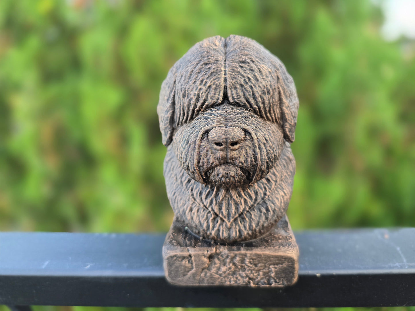 English Shepherd Bust