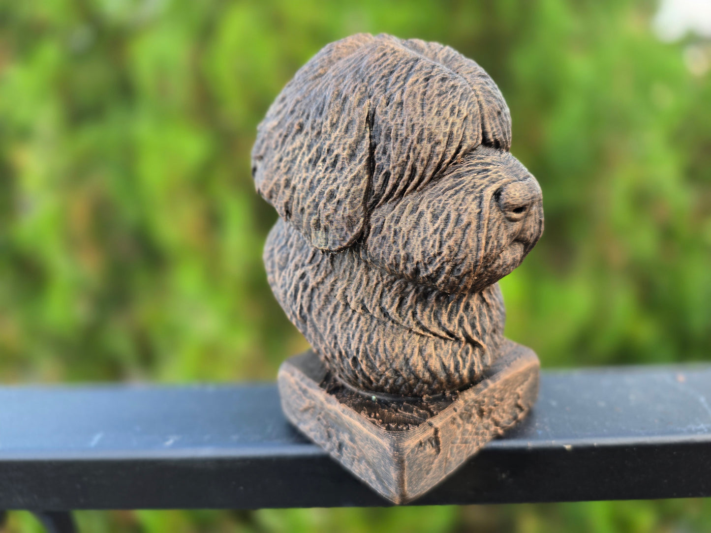 English Shepherd Bust