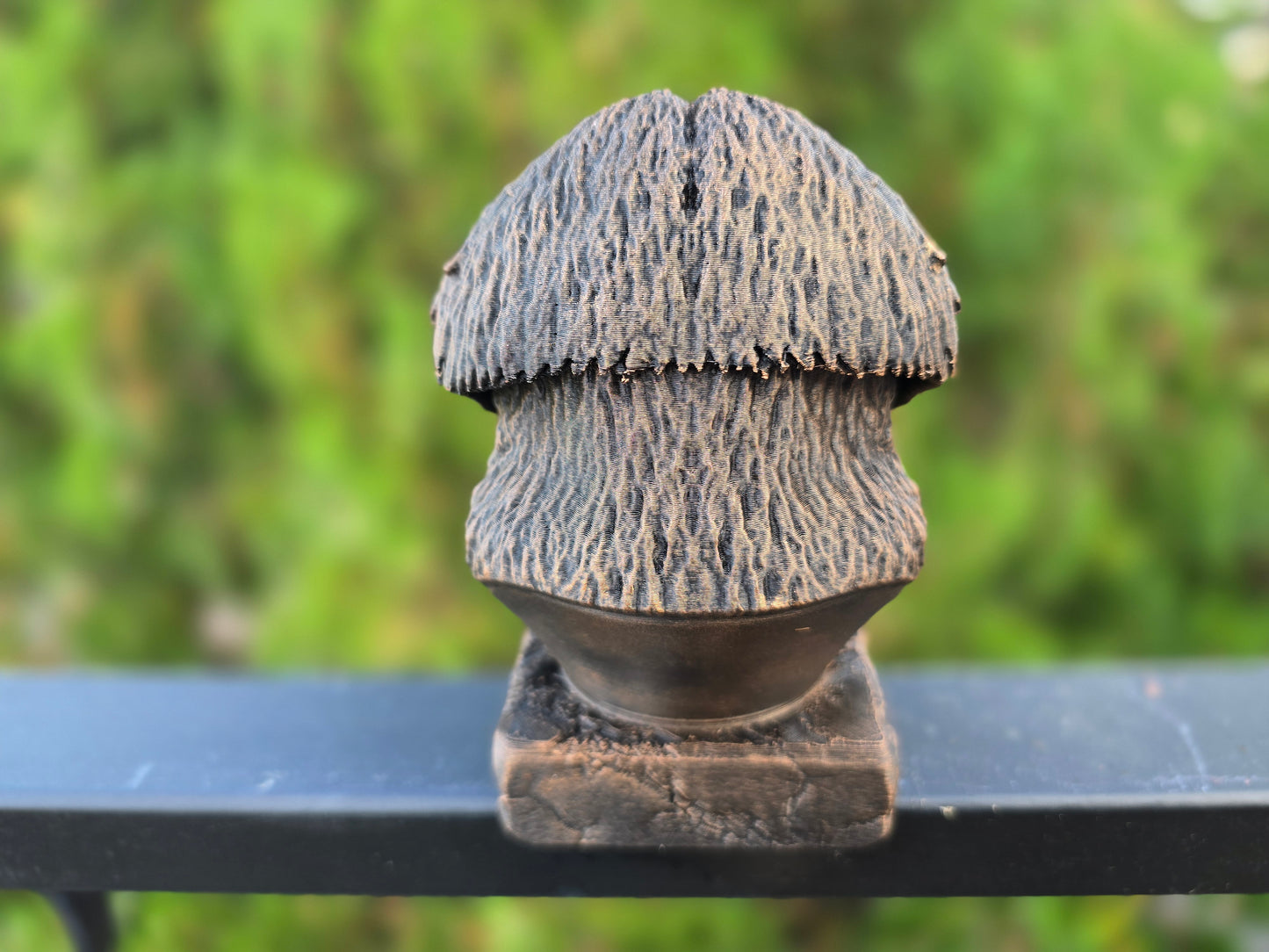 English Shepherd Bust