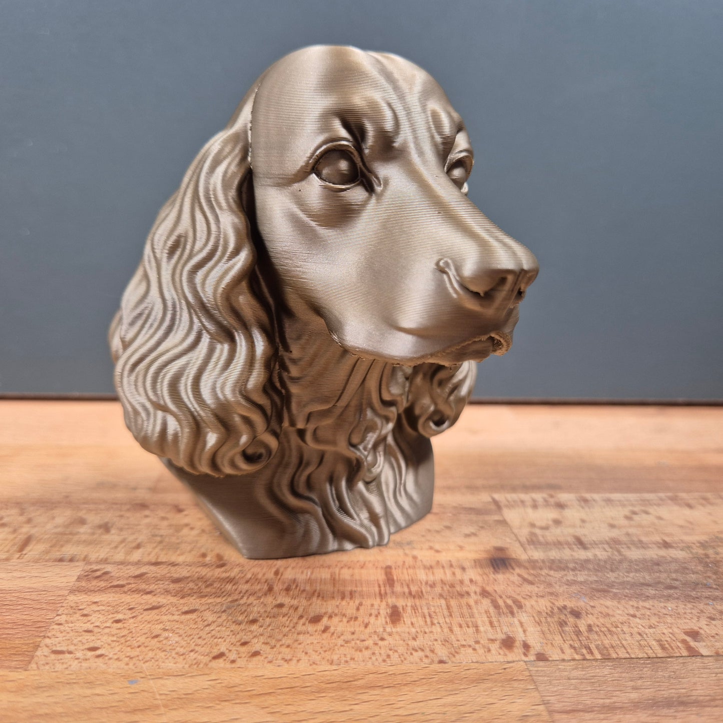 English Springer Spaniel Bust