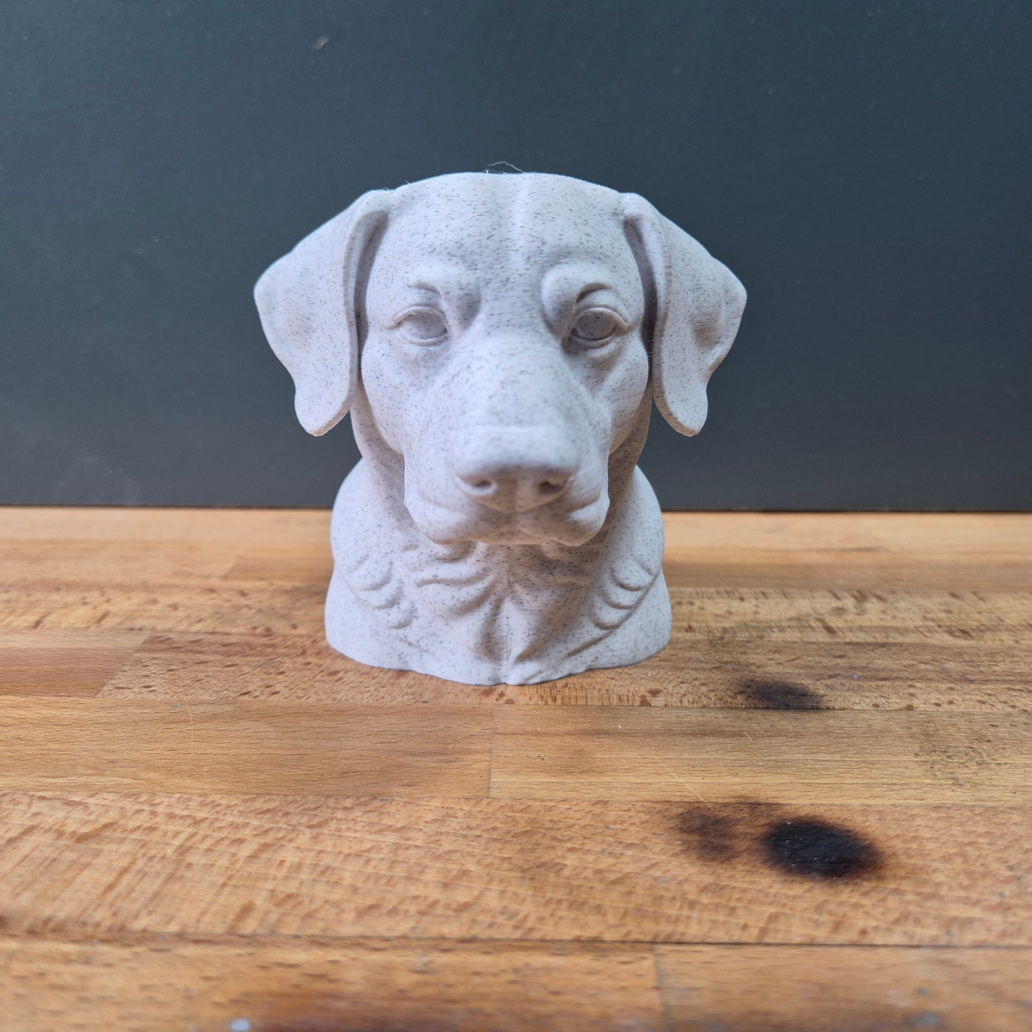 Entlebucher Mountain Dog Bust