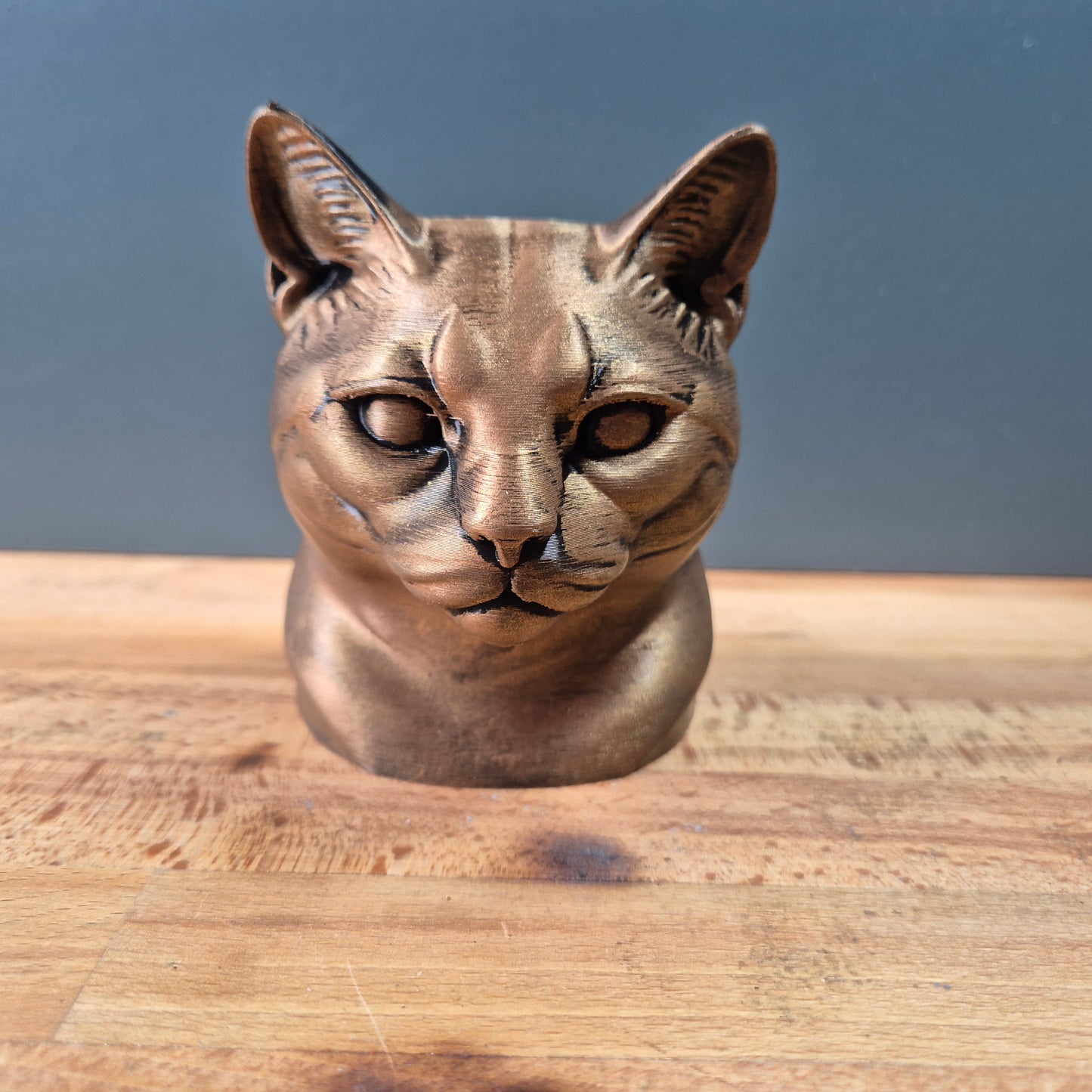 European Shorthair Cat Bust