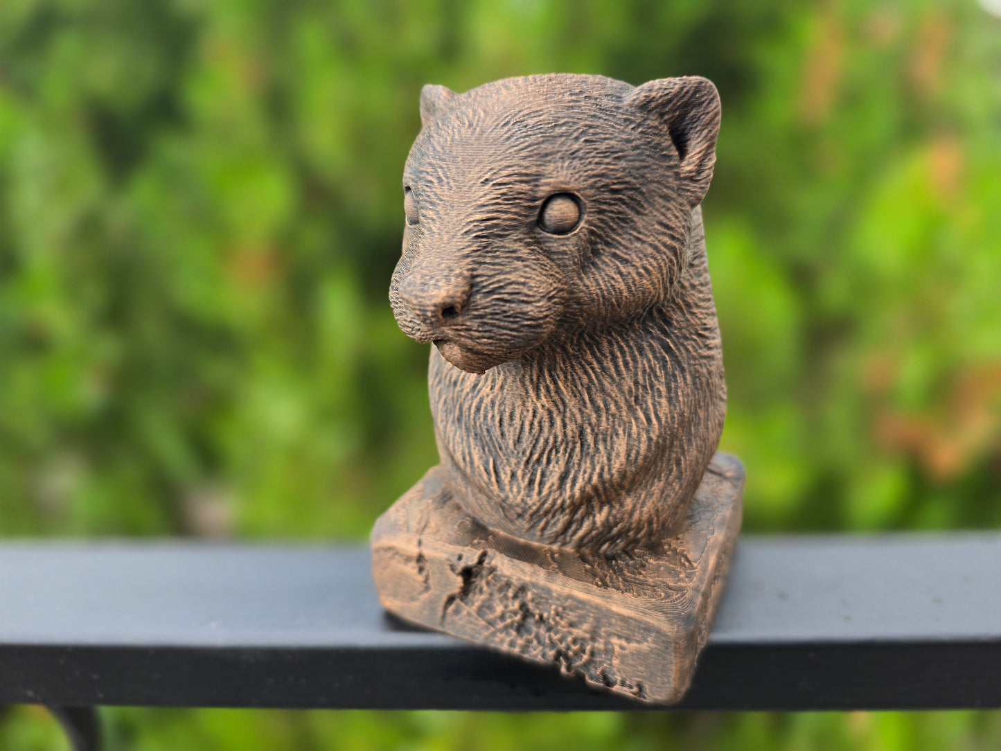 Ferret Bust