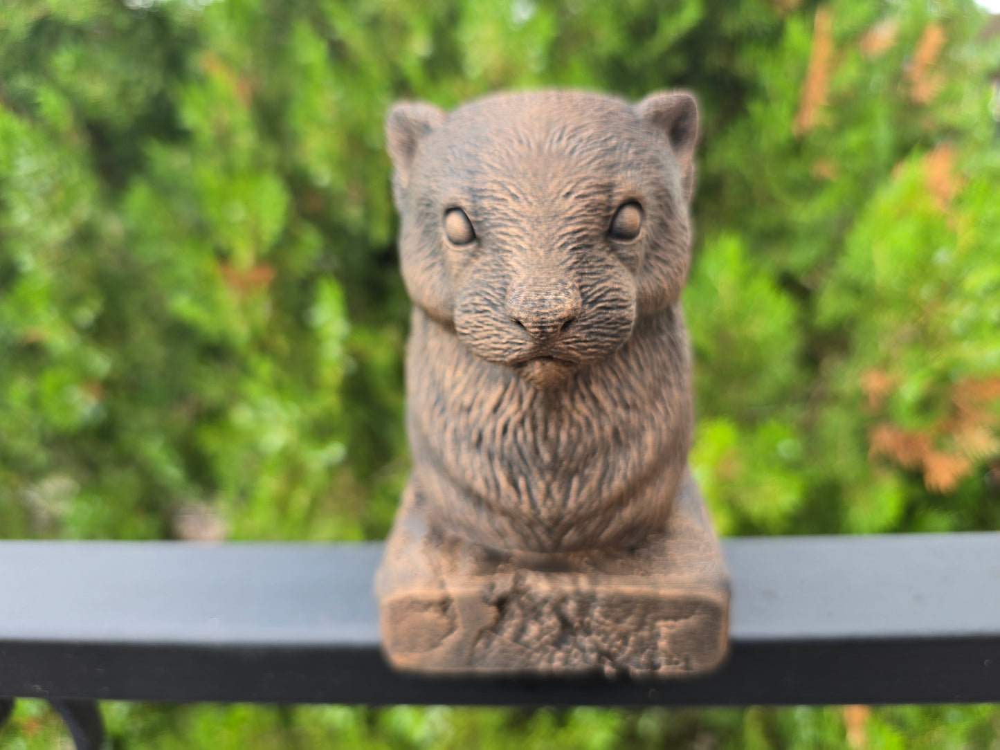 Ferret Bust