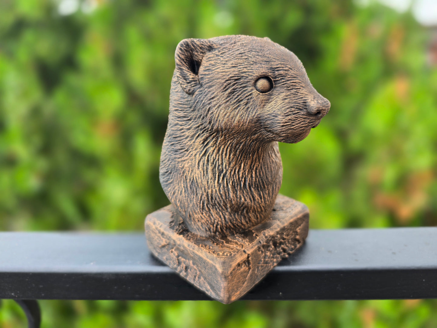 Ferret Bust
