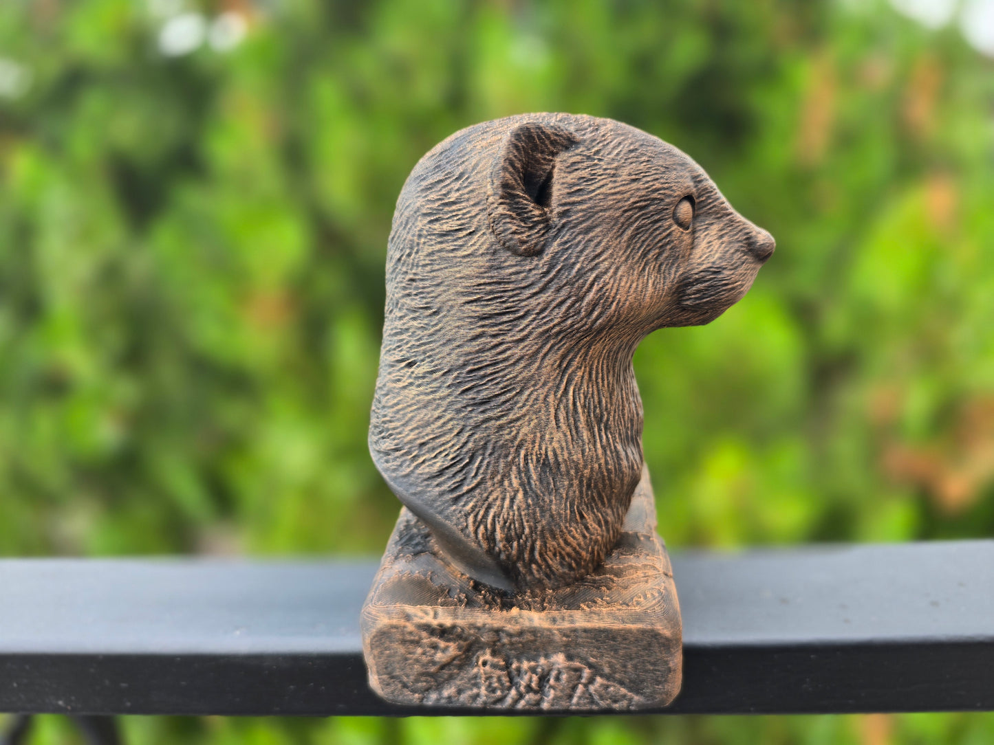 Ferret Bust