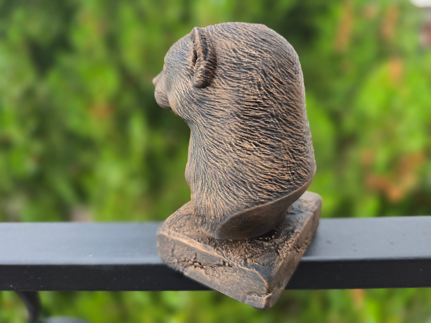 Ferret Bust