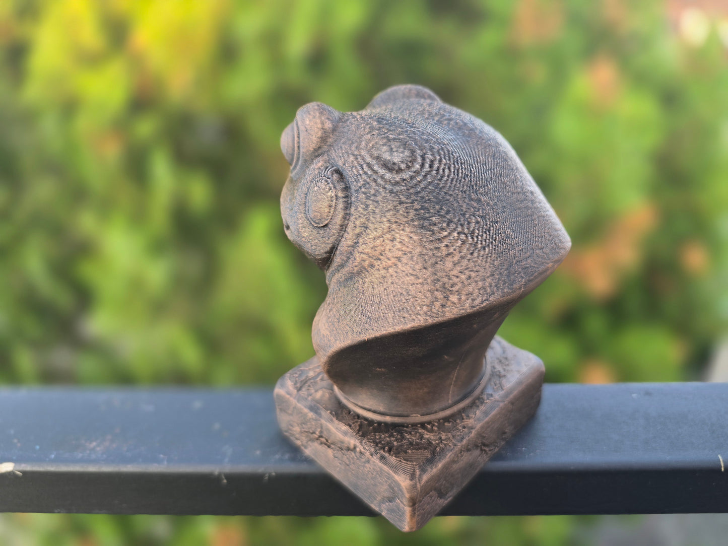 Frog Bust