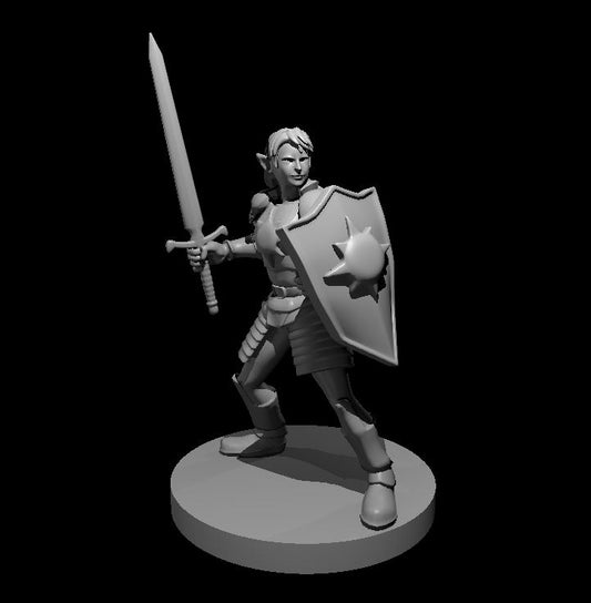 Dungeons & Dragons Female Elf Light Paladin with Sword and Kite Shield Miniature