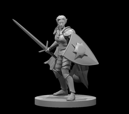 Dungeons & Dragons Female Elf Light Paladin with Sword and Kite Shield Miniature