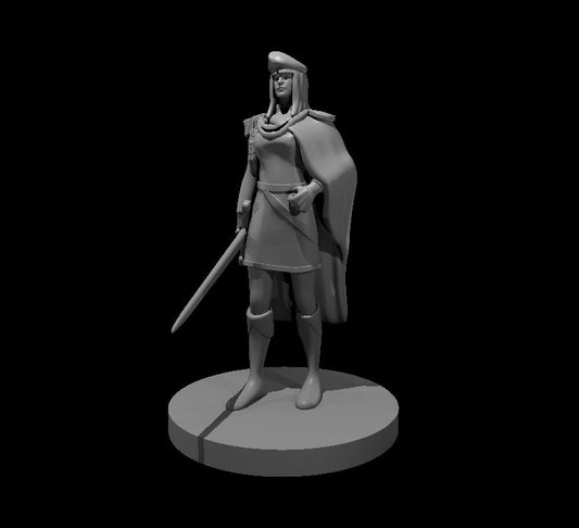 Dungeons & Dragons Female Noble Miniature