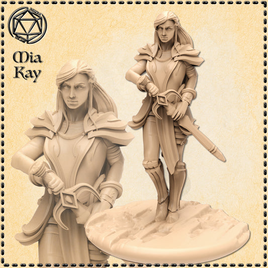 Dungeons & Dragons Female Human Paladin Miniature