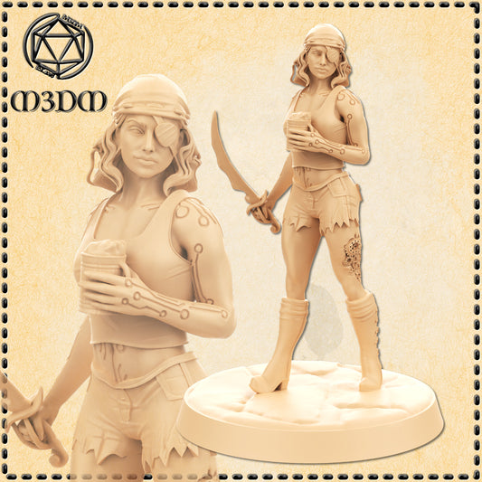 Dungeons & Dragons Female Pirate Construct Miniature