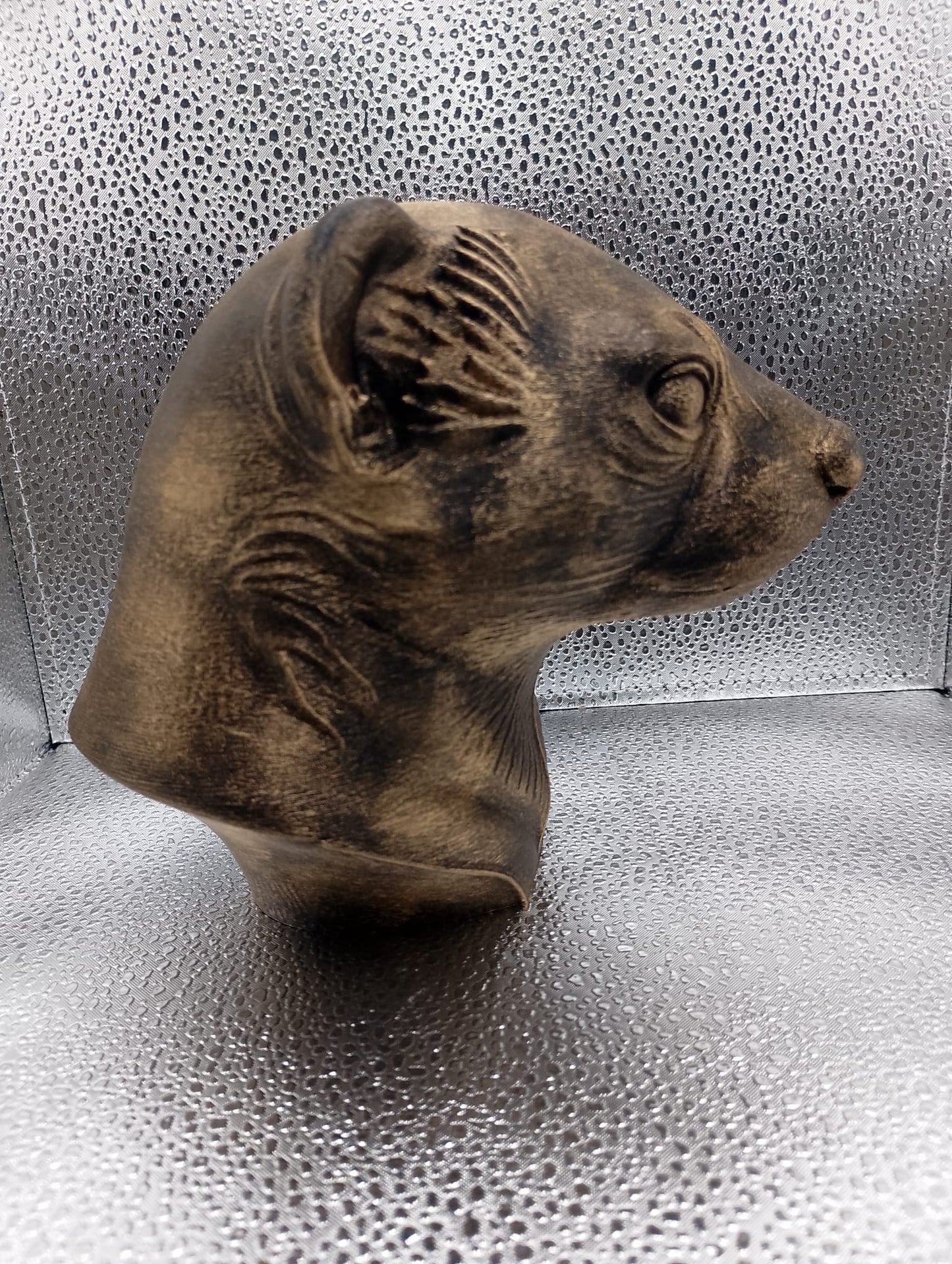 Ferret Bust