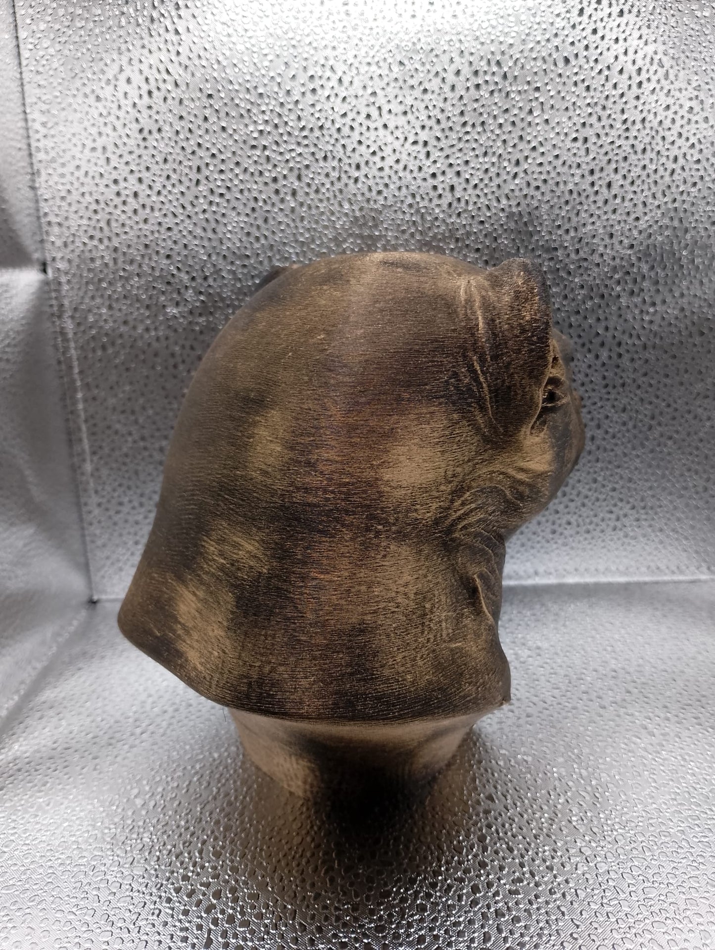 Ferret Bust