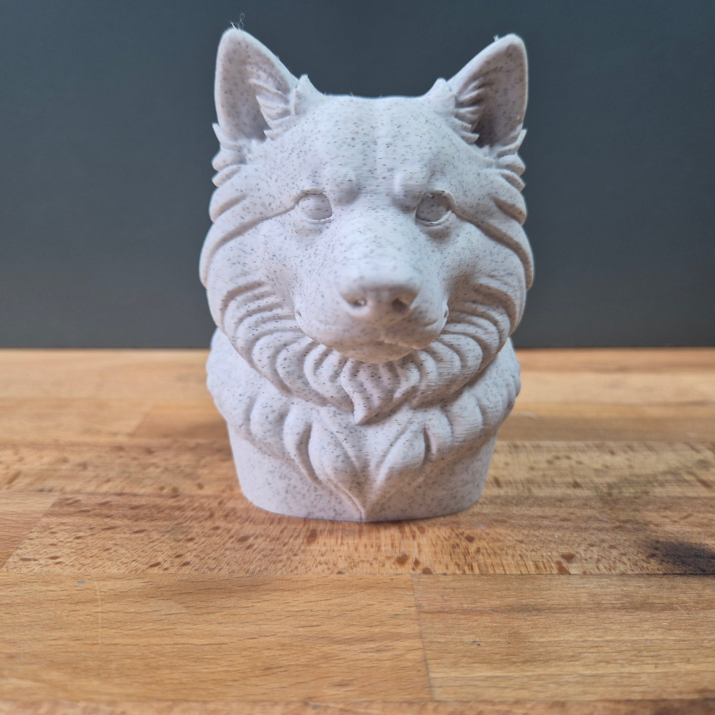 Finnish Lapphund Dog Bust