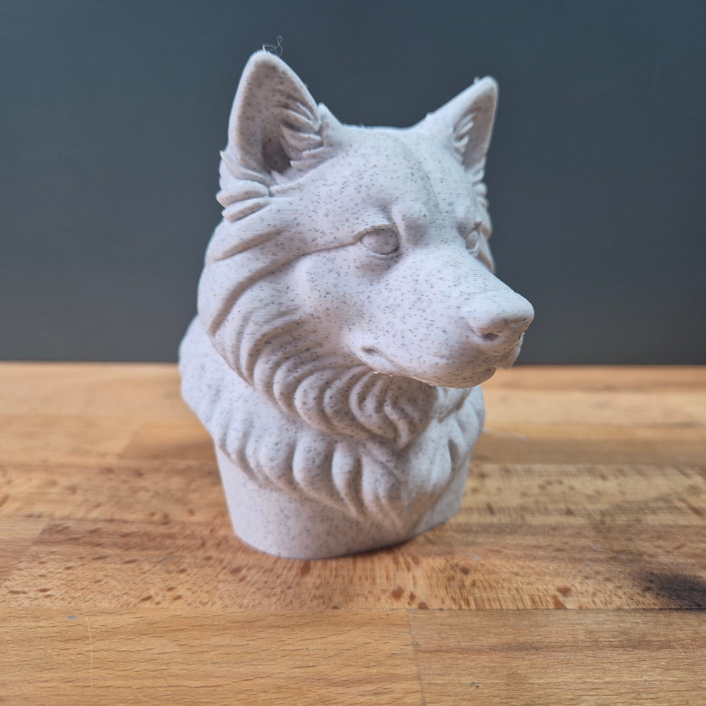 Finnish Lapphund Dog Bust