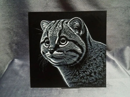 Flat-headed Cat (Prionailurus planiceps)